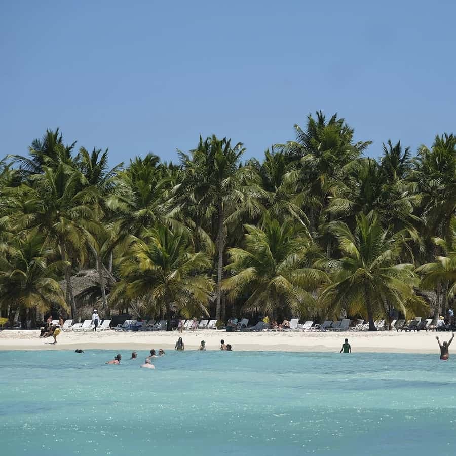 Bayahibe: Saona Island Boat Tour Small Group — Guided tour and outdoor activity