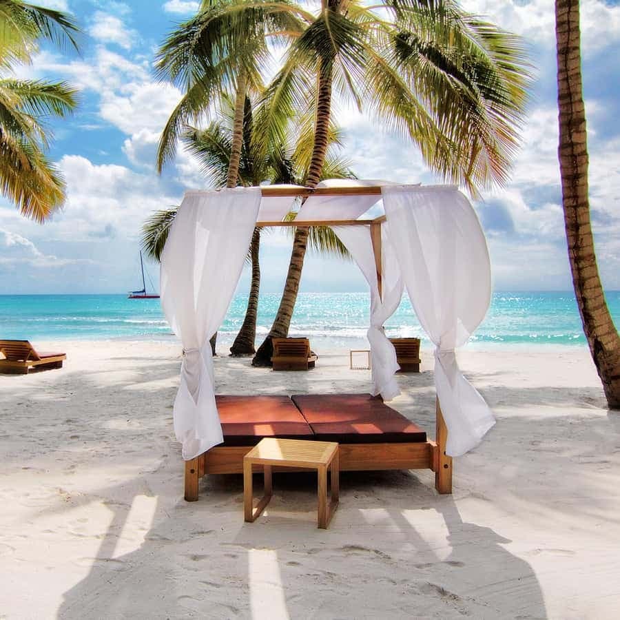 Saona Island from Punta Cana: Exclusive Beach Day Excursion — Guided tour and outdoor activity