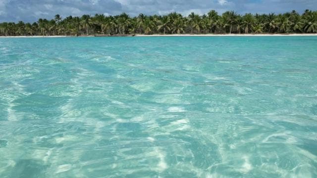 Punta Cana: Saona Island All-Inclusive Day Trip — Guided tour and outdoor activity