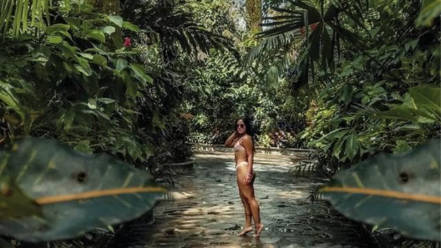 San José: Arenal Volcano and Hot Springs with Lunch — Guided tour and outdoor activity