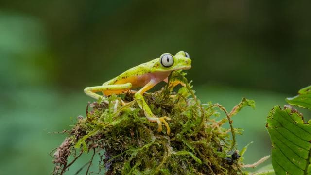 Natura Eco Park Admission: Wildlife Sanctuary — Guided tour and outdoor activity