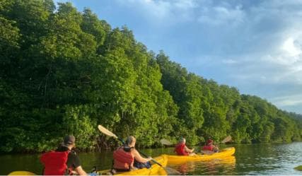 Miches: El Limón Lagoon Guided Kayak Tour with Guide — Guided tour and outdoor activity