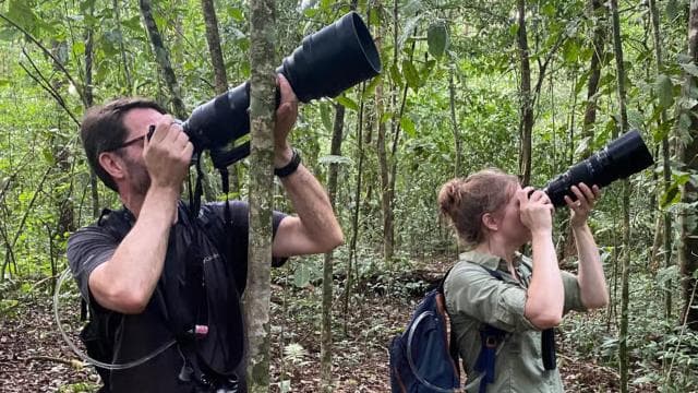 From Puerto Jimenez: Corcovado National Park Full-Day Tour — Guided tour and outdoor activity