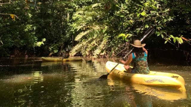 CARIBBEAN EXPERIENCE - PUNTA UVA — Guided tour and outdoor activity