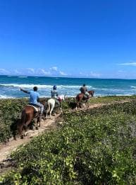 Punta Cana: Guided Horseback Tour of Beaches and Fields — Guided tour and outdoor activity