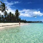 Saona Island Private Tour from Punta Cana Hotels – Punta Cana Lobby — Guided tour and outdoor activity