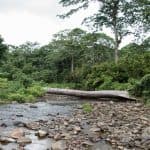 Salto La Jalda (Hiking and Swimming) — Guided tour and outdoor activity