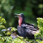 Nationalpark Los Haitises + Mittagessen im Caño Hondo von Sabana de la Mar — Guided tour and outdoor activity