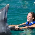 Dolphin Swim in Punta Cana – Best 60-min Dolphin Discovery — Guided tour and outdoor activity
