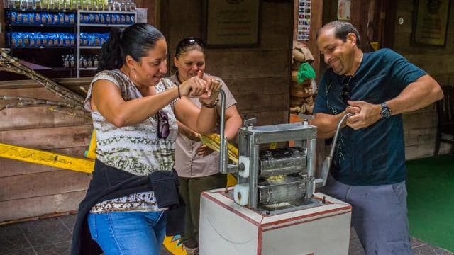 Monteverde: Coffee, Chocolate, and Sugar Cane Day Trip — Guided tour and outdoor activity