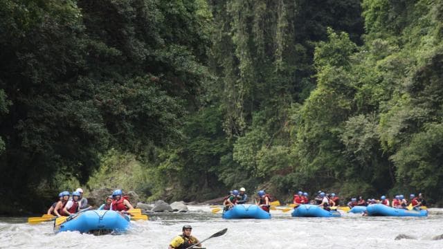 La Fortuna: Rafting Pacuare & Shuttle to SJO or Puerto Viejo — Guided tour and outdoor activity