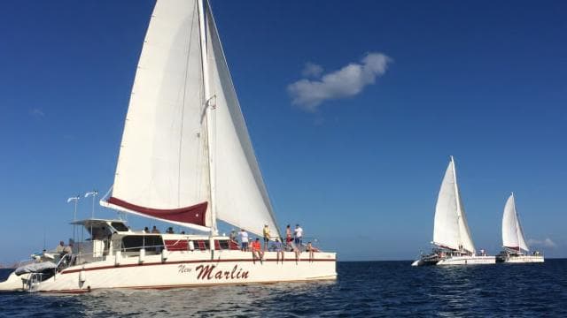 Playas del Coco: Sunset Sailing and Snorkeling Tour — Guided tour and outdoor activity