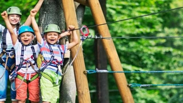 Punta Cana: Zipline Canopy Adventure with Hotel Pickup — Guided tour and outdoor activity