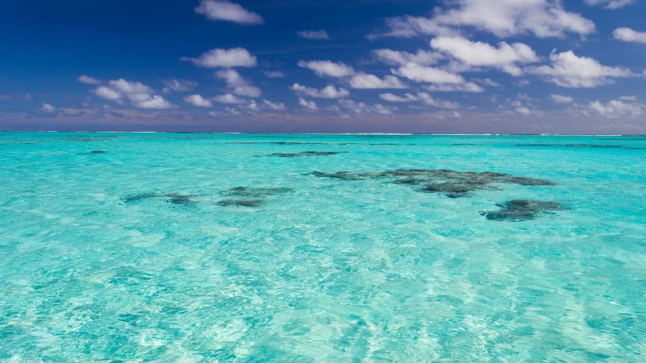 Punta Cana: Saona Island & Catamaran Party (Full Day) — Guided tour and outdoor activity