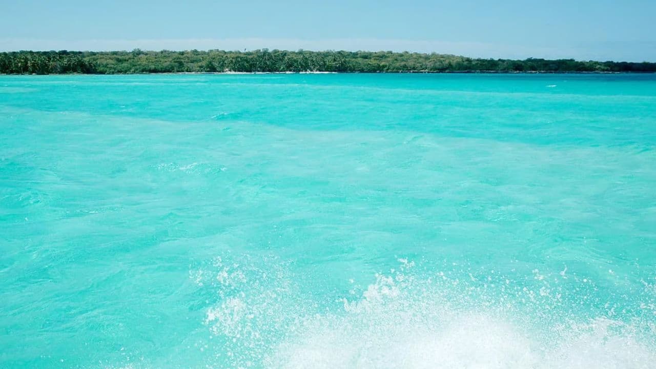 Saona Island Private Excursion for 10+ People — Guided tour and outdoor activity