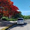 Private Transfer from Riu Palace Bavaro to SDQ — Guided tour and outdoor activity