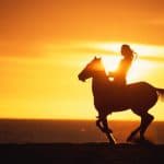 Puerto Plata: Sunset Beach Horseback Riding Tour — Guided tour and outdoor activity