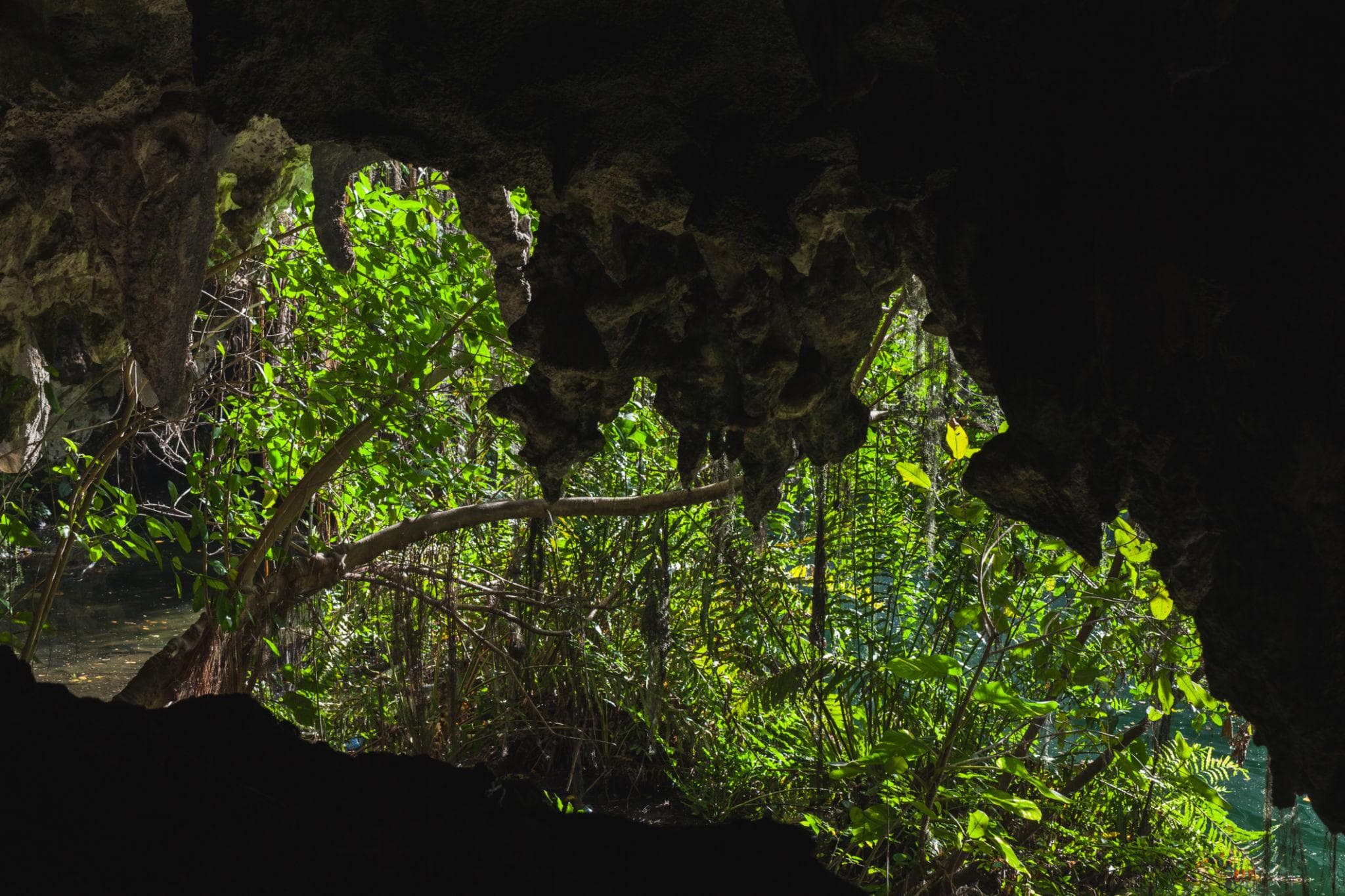 Los Tres Ojos Entrance Tour with Local Guide – Santo Domingo — Guided tour and outdoor activity