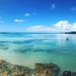 Saona Island Tour from Bayahibe – Natural Pool Excursion — Guided tour and outdoor activity
