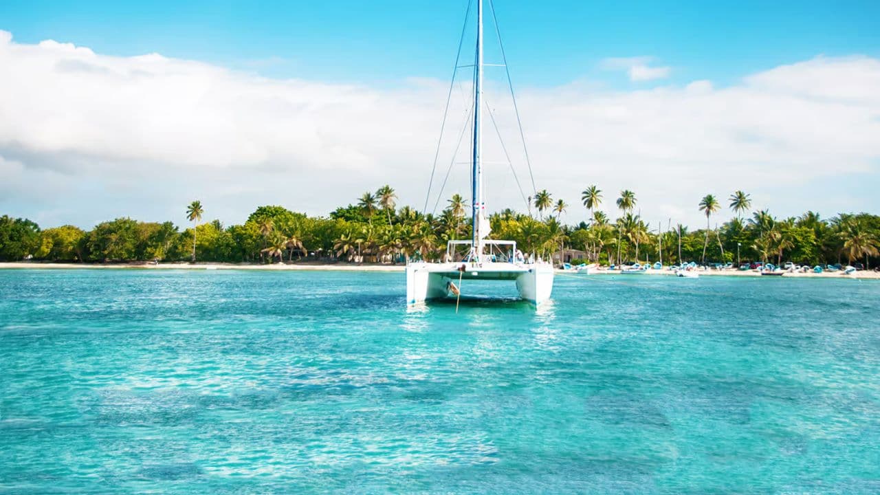 Saona Island catamaran experience with lunch from punta cana — Guided tour and outdoor activity