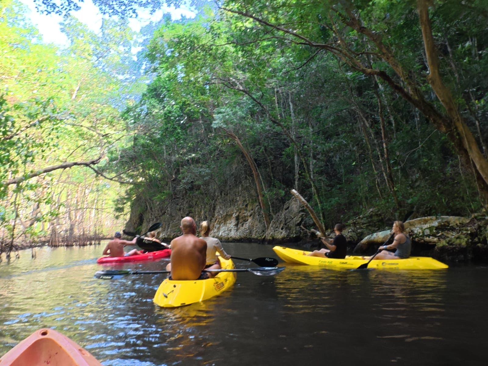 Samana: ATV Los Haitises, Kayaks and Pools Day Trip — Guided tour and outdoor activity
