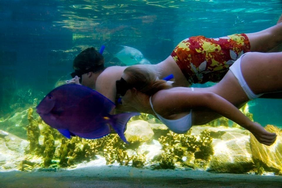 Puerto Plata: Ocean World Adventure Park Day Pass - Obrázek 3