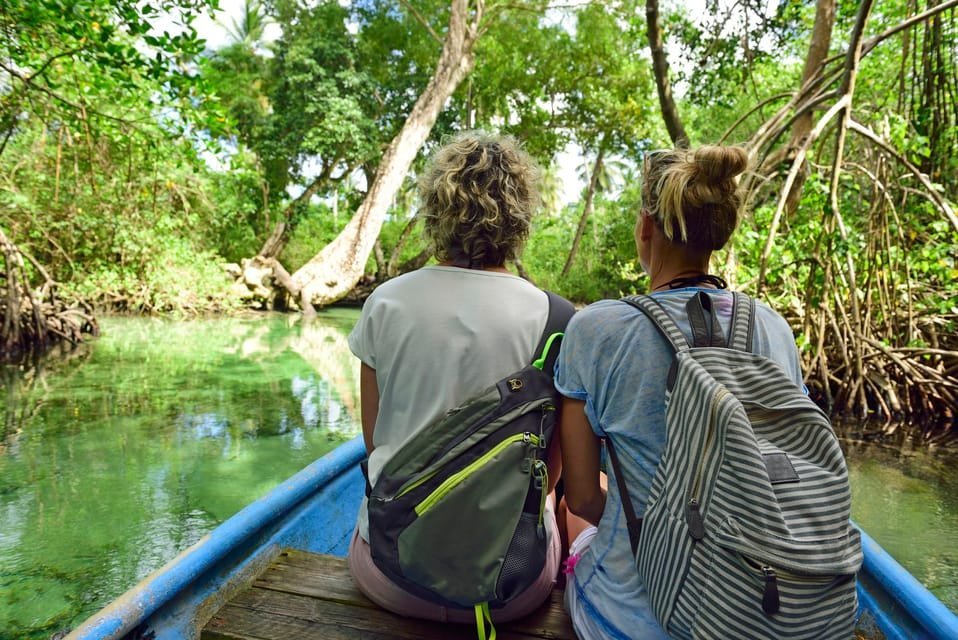 Los Haitises: Boat Tour Sabana de la mar, Caves & Mangroves - Image 3