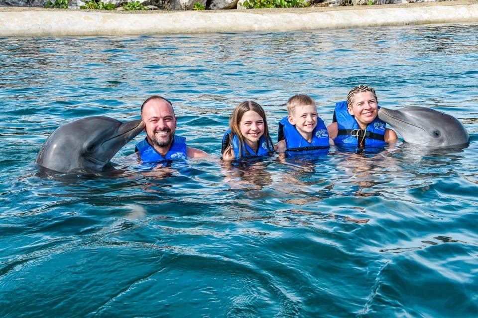 Puerto Plata: Ocean World Adventure Park Swim with Dolphins - Immagine 3