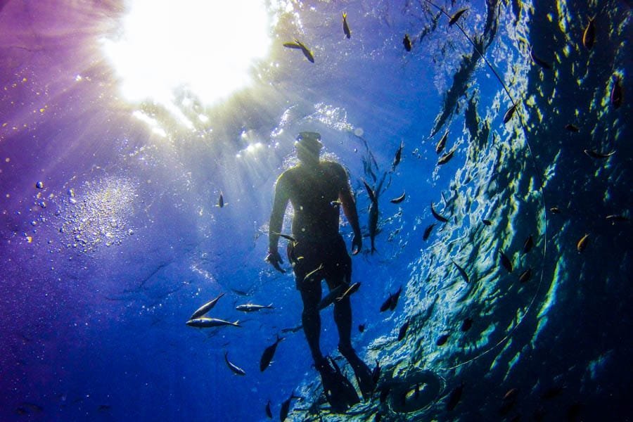 Punta Cana: Full-Day Snorkeling Tour to Catalina Island - Obrázek 10