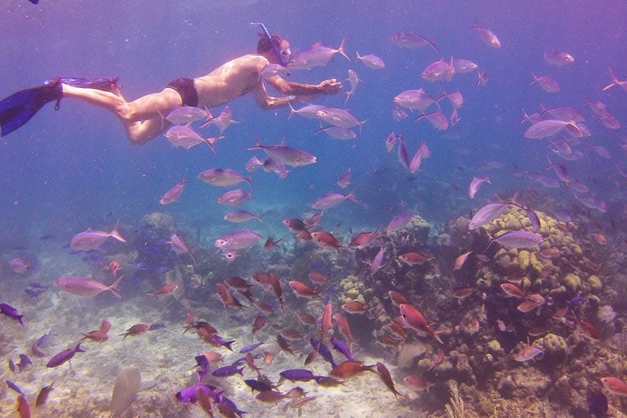 Punta Cana: Full-Day Snorkeling Tour to Catalina Island - Obrázek 14