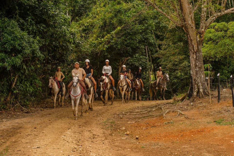 Punta Cana: Zipline, Chairlift, Buggy & Horse Ride Adventure - Image 17
