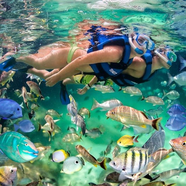Punta Cana: Prožijte zábavu na palubě párty lodi