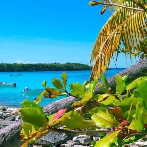 Punta Cana o La Romana: Tour dell'isola di Catalina e snorkeling