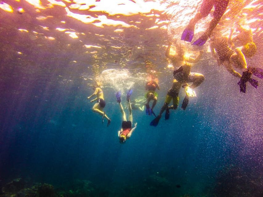 Punta Cana: Full-Day Snorkeling Tour to Catalina Island - Obrázek 16