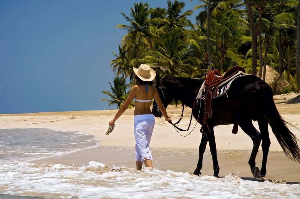 Punta Cana: Horseback Riding Through the Beautiful Beaches - Image 3