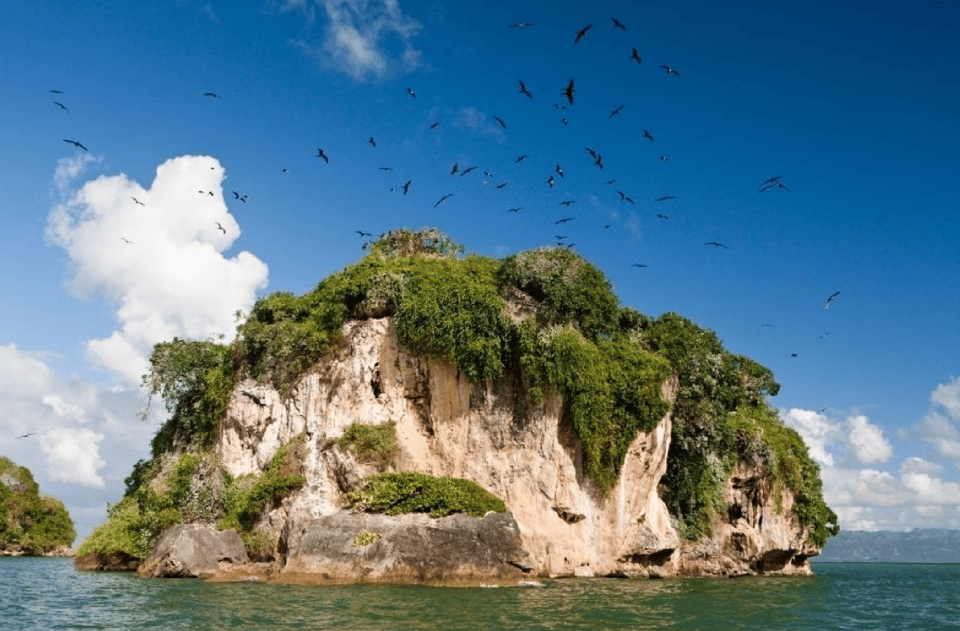 Haitises + Cayo Levantado ( Bacardi Island ) - Image 3