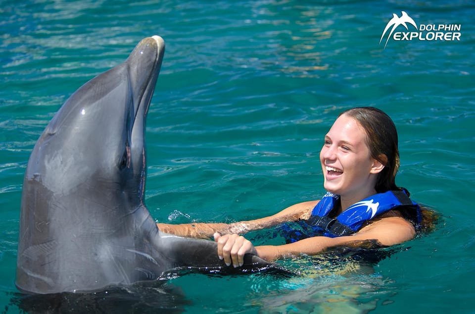 Swim with Dolphins in Punta Cana - Image 3