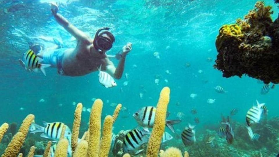 Punta Cana: Party Boat and Snorkeling Adventure - Bild 4