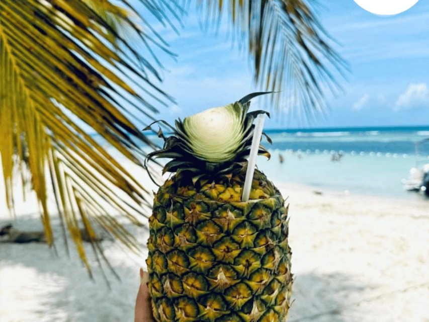 Punta Cana: Saona Island Catamaran Day Trip with Tickets and Lunch - Image 3