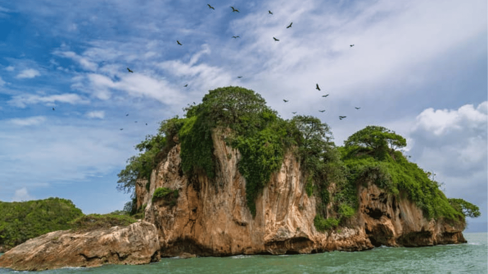 Discover Los Haitises National Park with Delicious Lunch - Immagine 4