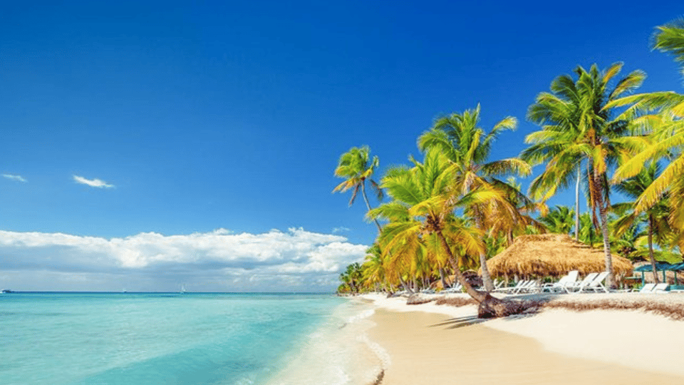 Saona Island Full-Day with Pickup in your Hotel Punta Cana - Bild 4