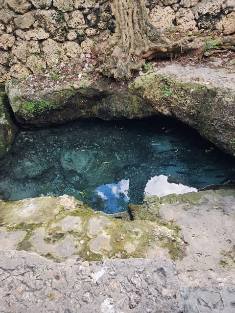 Learn about the History of Bayahibe and Bathe in 7 Springs - Image 4