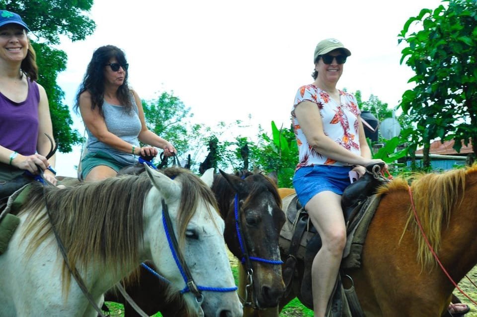 Punta Cana: Historical and Cultural Tour Half-Day Safari - Bild 5
