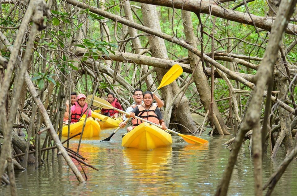 Los Haitises All One: Kayak, escursioni, barca e nuoto