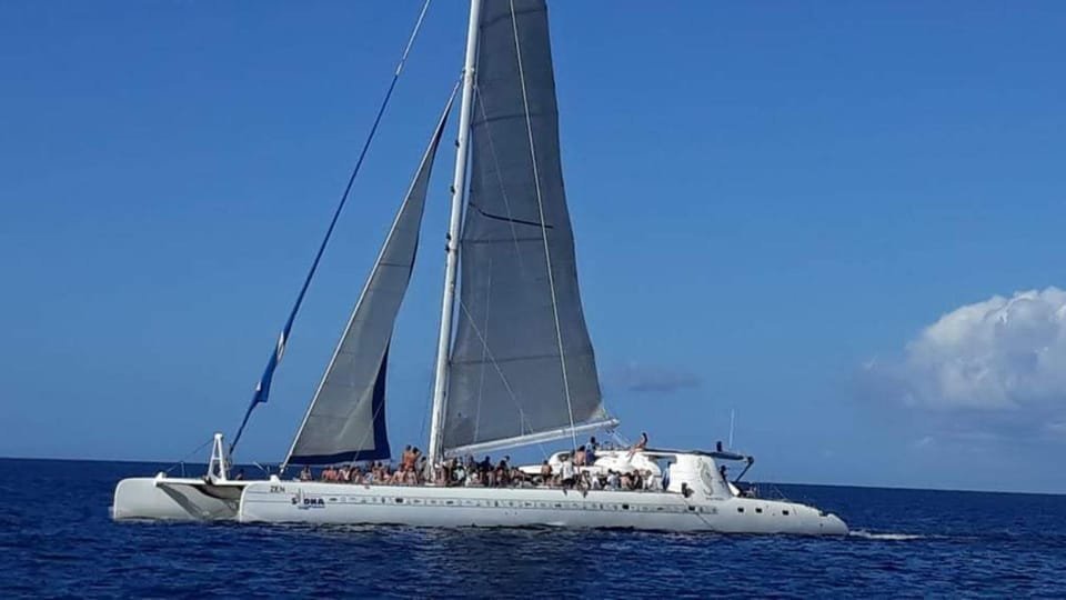 Catalina Island: Day Trip - Best Snorkeling! - Bild 6