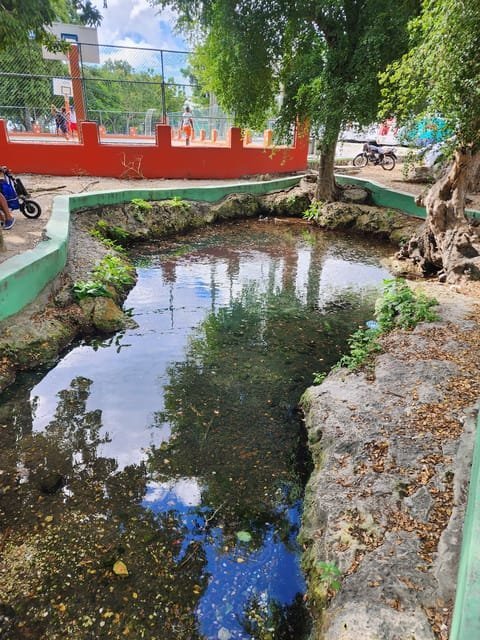 Learn about the History of Bayahibe and Bathe in 7 Springs - Image 5