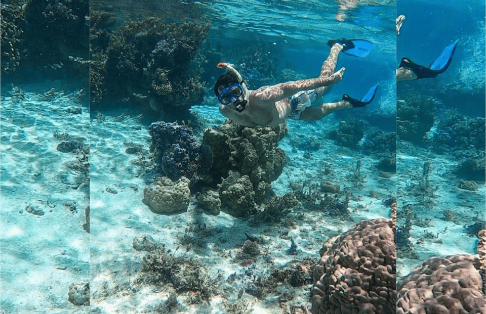 Punta Cana: Full-day Snorkelling Tour in Catalina Island - Bild 4