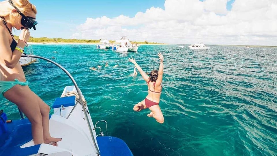 Catalina Island: Day Trip - Best Snorkeling! - Bild 7