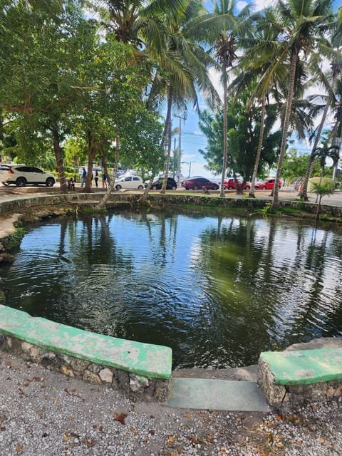 Learn about the History of Bayahibe and Bathe in 7 Springs - Image 6