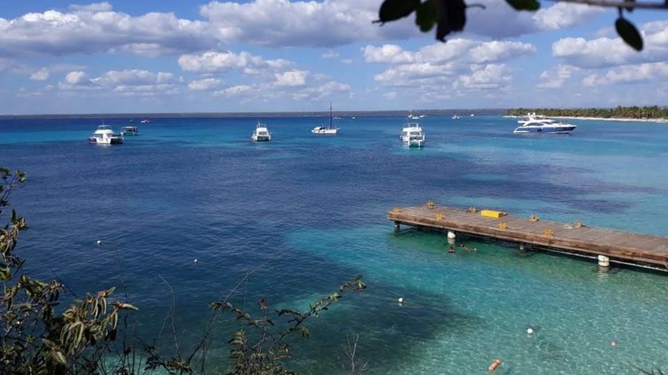 Catalina Island: Day Trip - Best Snorkeling! - Bild 2